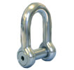Socket Head Pin for D Shackles